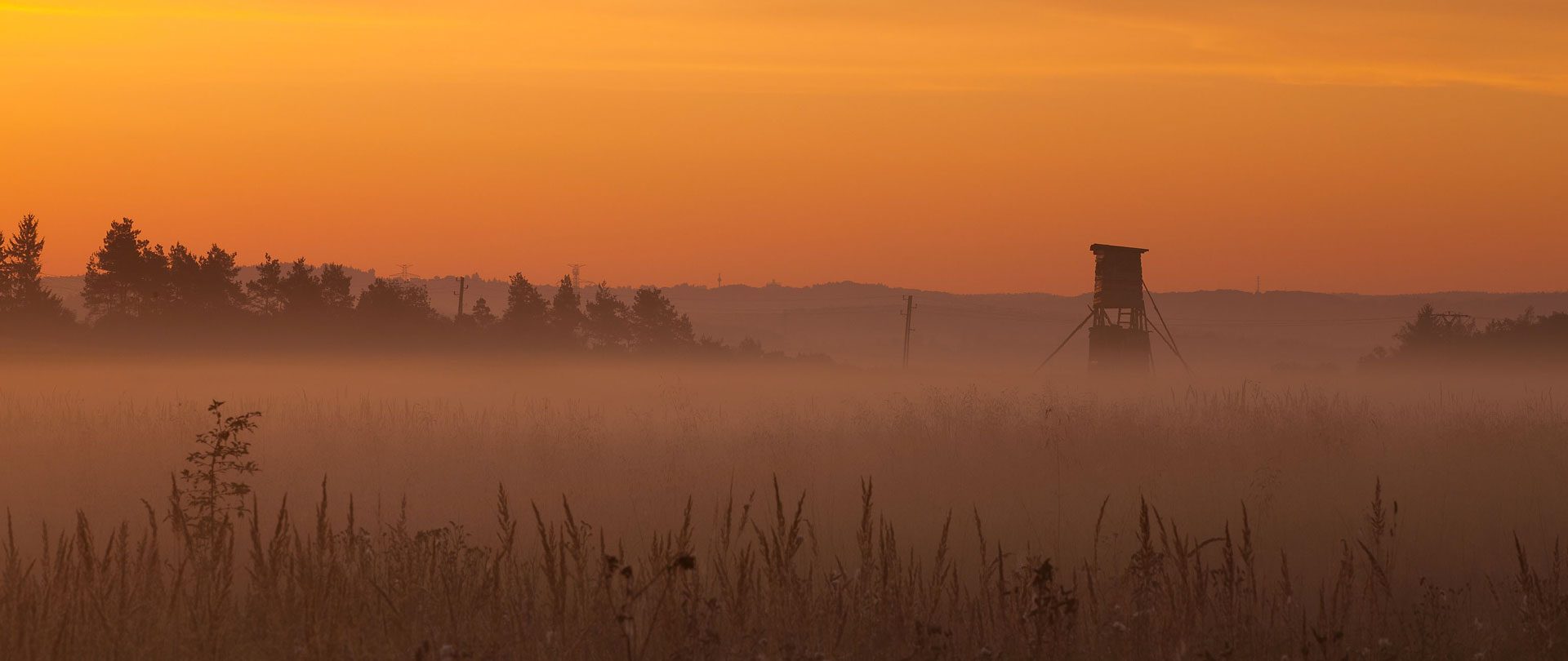 PASSIONE ED ESPERIENZA